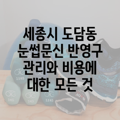 세종시 도담동 눈썹문신 반영구 관리와 비용에 대한 모든 것