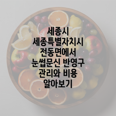 세종시 세종특별자치시 전동면에서 눈썹문신 반영구 관리와 비용 알아보기