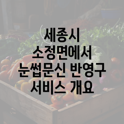 세종시 소정면에서 눈썹문신 반영구 서비스 개요