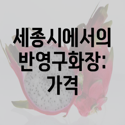 세종시에서의 반영구화장: 가격