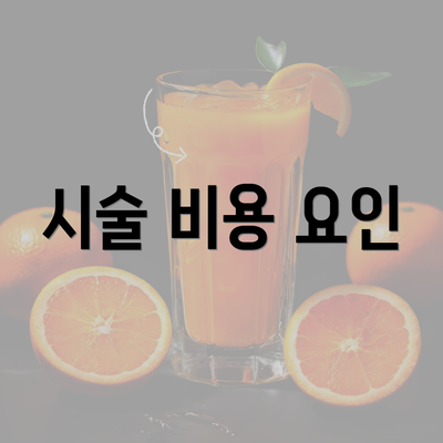 시술 비용 요인