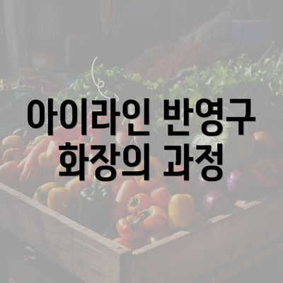 아이라인 반영구 화장의 과정