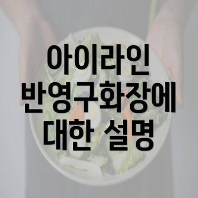 아이라인 반영구화장에 대한 설명