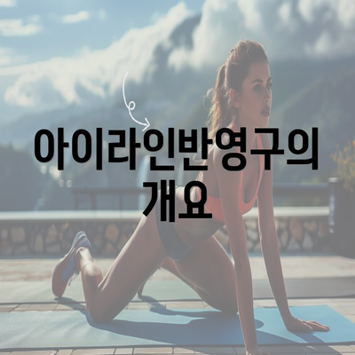 아이라인반영구의 개요