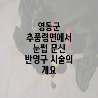 영동군 추풍령면에서 눈썹 문신 반영구 시술의 개요