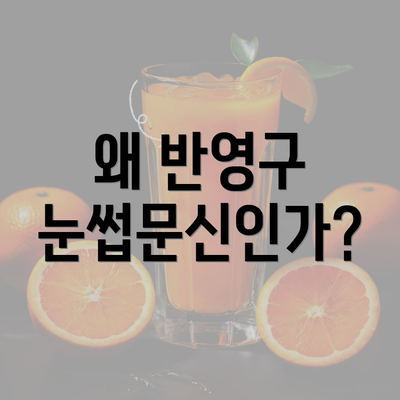 왜 반영구 눈썹문신인가?