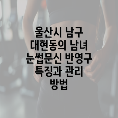 울산시 남구 대현동의 남녀 눈썹문신 반영구 특징과 관리 방법