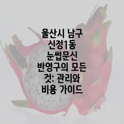 울산시 남구 신정1동 눈썹문신 반영구의 모든 것: 관리와 비용 가이드