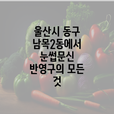 울산시 동구 남목2동에서 눈썹문신 반영구의 모든 것