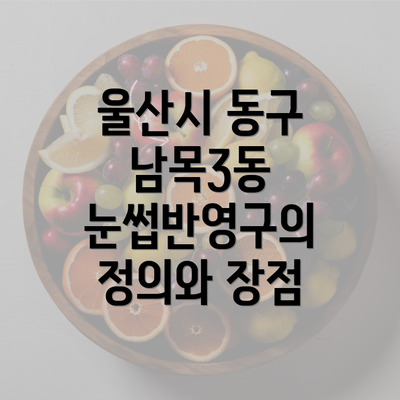 울산시 동구 남목3동 눈썹반영구의 정의와 장점