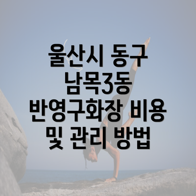 울산시 동구 남목3동 반영구화장 비용 및 관리 방법