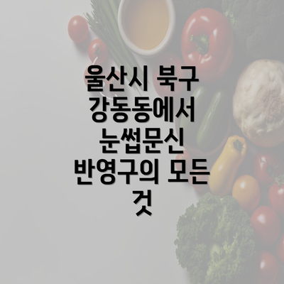 울산시 북구 강동동에서 눈썹문신 반영구의 모든 것