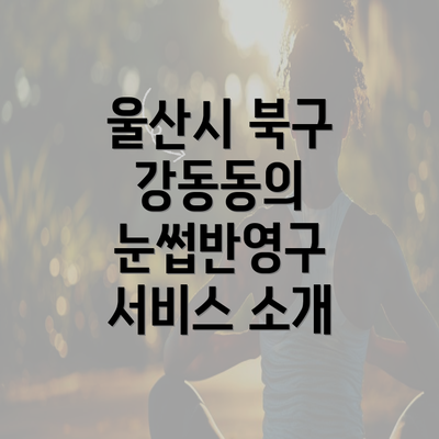 울산시 북구 강동동의 눈썹반영구 서비스 소개