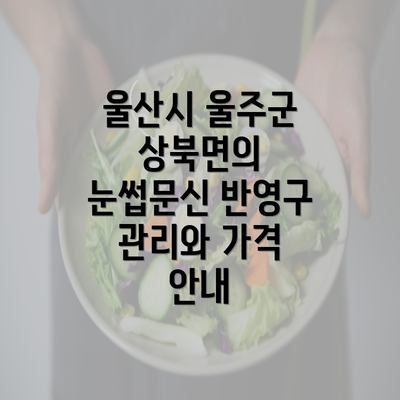 울산시 울주군 상북면의 눈썹문신 반영구 관리와 가격 안내