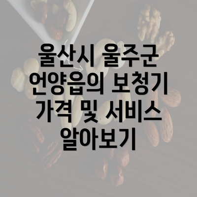 울산시 울주군 언양읍의 보청기 가격 및 서비스 알아보기