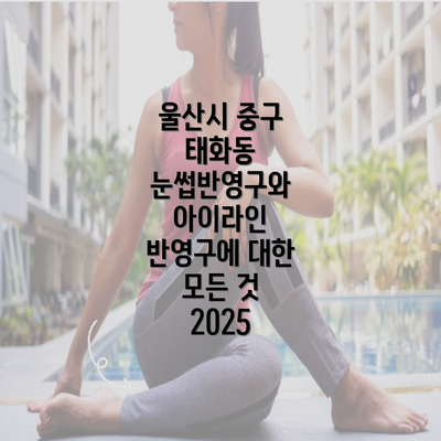 울산시 중구 태화동 눈썹반영구와 아이라인 반영구에 대한 모든 것 2025