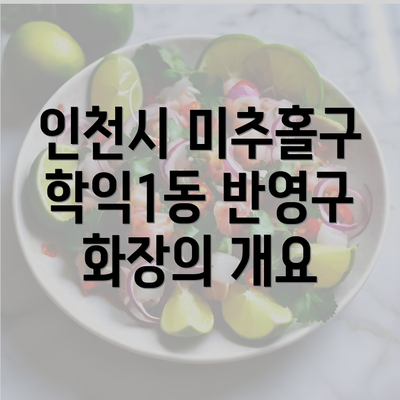 인천시 미추홀구 학익1동 반영구 화장의 개요