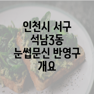 인천시 서구 석남3동 눈썹문신 반영구 개요