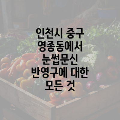 인천시 중구 영종동에서 눈썹문신 반영구에 대한 모든 것