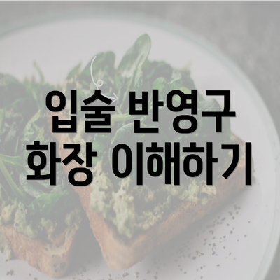 입술 반영구 화장 이해하기