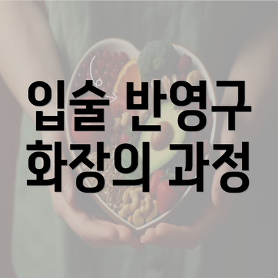 입술 반영구 화장의 과정