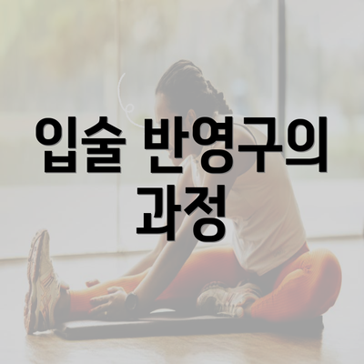 입술 반영구의 과정