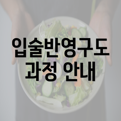 입술반영구도 과정 안내