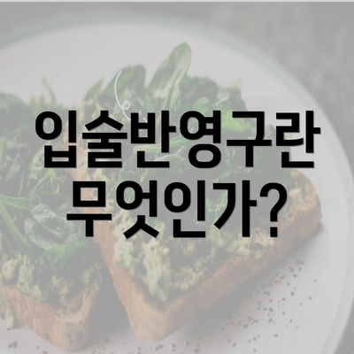 입술반영구란 무엇인가?