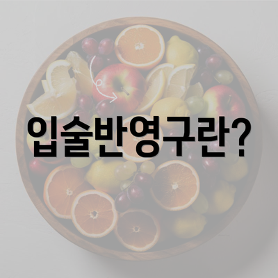 입술반영구란?