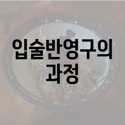 입술반영구의 과정