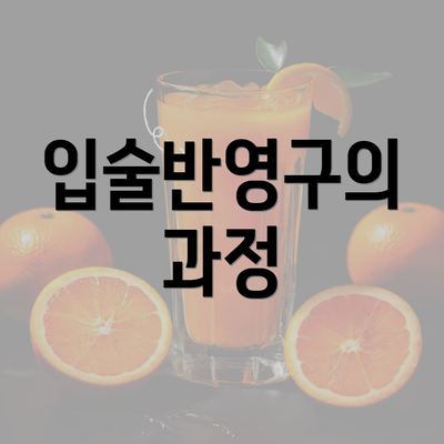 입술반영구의 과정