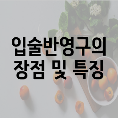입술반영구의 장점 및 특징