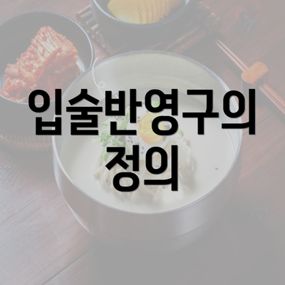 입술반영구의 정의