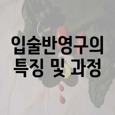 입술반영구의 특징 및 과정