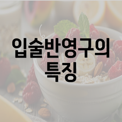 입술반영구의 특징