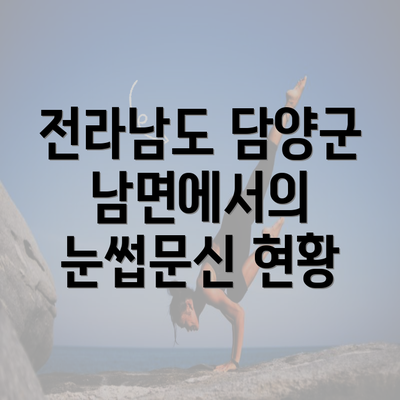 전라남도 담양군 남면에서의 눈썹문신 현황