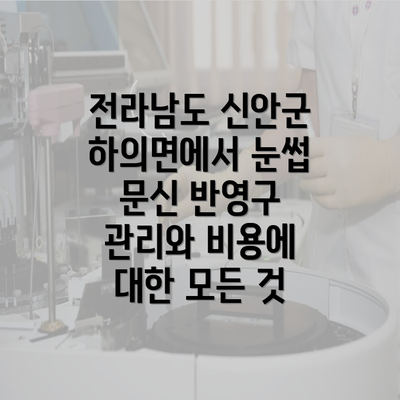 전라남도 신안군 하의면에서 눈썹 문신 반영구 관리와 비용에 대한 모든 것