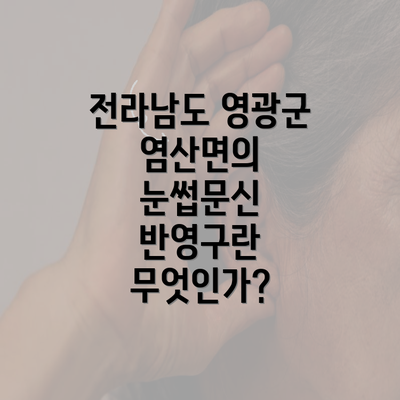 전라남도 영광군 염산면의 눈썹문신 반영구란 무엇인가?