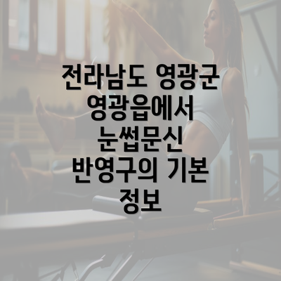 전라남도 영광군 영광읍에서 눈썹문신 반영구의 기본 정보