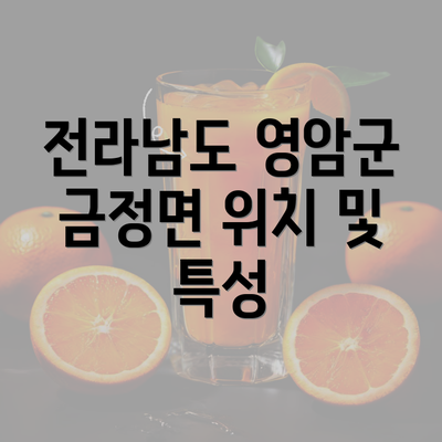 전라남도 영암군 금정면 위치 및 특성