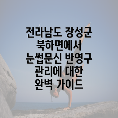 전라남도 장성군 북하면에서 눈썹문신 반영구 관리에 대한 완벽 가이드