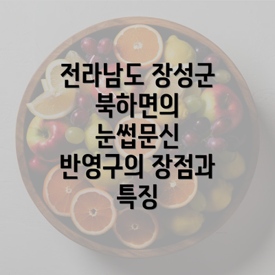 전라남도 장성군 북하면의 눈썹문신 반영구의 장점과 특징