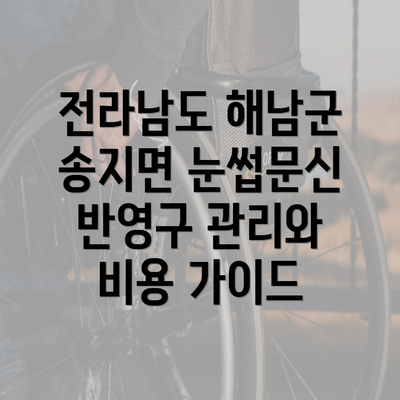 전라남도 해남군 송지면 눈썹문신 반영구 관리와 비용 가이드