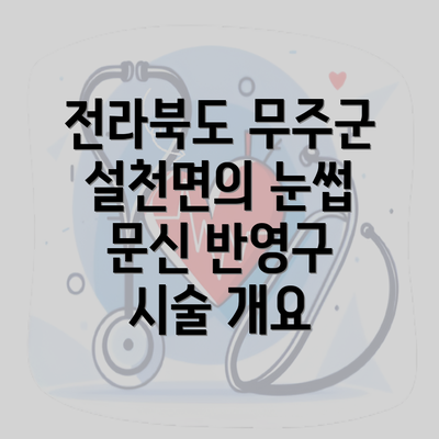 전라북도 무주군 설천면의 눈썹 문신 반영구 시술 개요