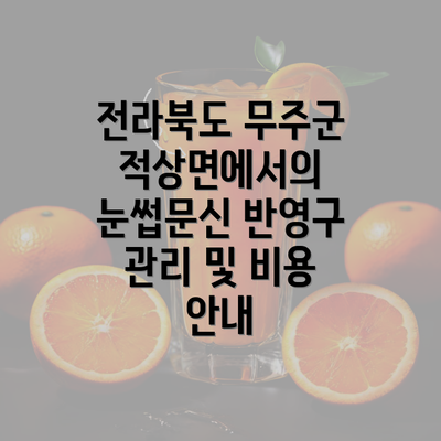 전라북도 무주군 적상면에서의 눈썹문신 반영구 관리 및 비용 안내