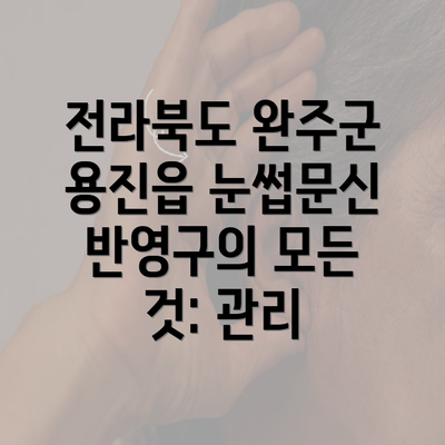 전라북도 완주군 용진읍 눈썹문신 반영구의 모든 것: 관리