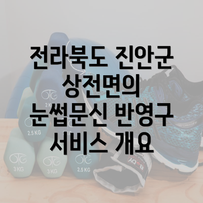 전라북도 진안군 상전면의 눈썹문신 반영구 서비스 개요