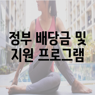 정부 배당금 및 지원 프로그램