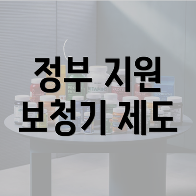 정부 지원 보청기 제도