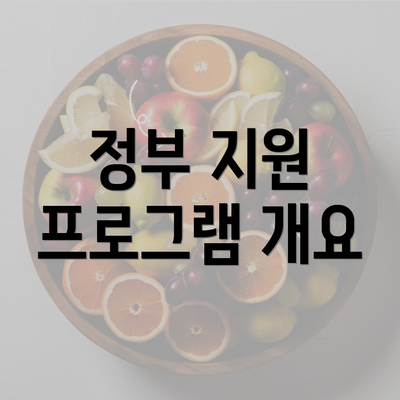 정부 지원 프로그램 개요